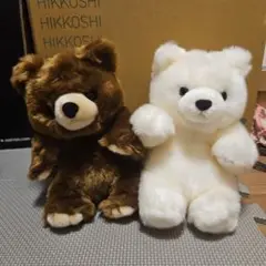 株式会社キュート（CUTE）可愛い熊　ぬいぐるみ茶色　森の熊　しろくま　クマ