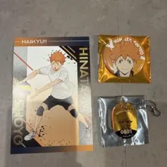 ハイキュー　日向　アニメイト