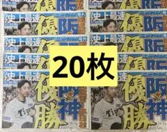 阪神タイガース優勝 号外 ニッカン新聞20枚