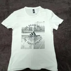 adidas グラフィックプリント Tシャツ メンズM