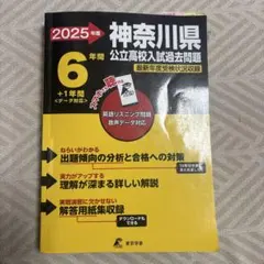 Item thumbnail for item 48b8bd5f-d8a6-465e-987c-2c2cced92a52