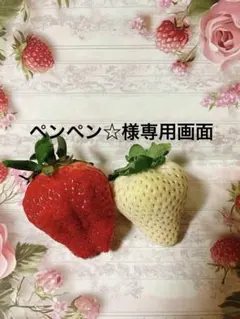 ペンペン☆様 リクエスト 2点 まとめ商品