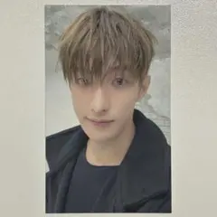 SEVENTEEN D×S Serenade ユニバ ドギョム トレカ ③