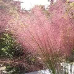 inechan様 リクエスト 3点 まとめ商品