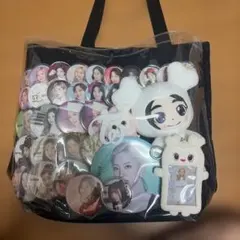 TWICE ダヒョン 痛バ