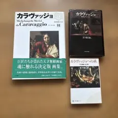 2026年最新】カラヴァッジョへの旅 天才画家の光と闇の人気アイテム