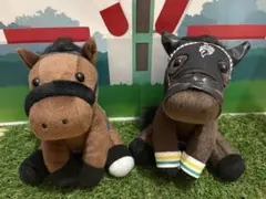 競馬 アイドルホース エフフォーリア 皐月賞 非売品 直筆サイン入り Lサイズ 競馬 アイドルホース エフフォーリア 皐月賞 非売品 直筆サイン入り L