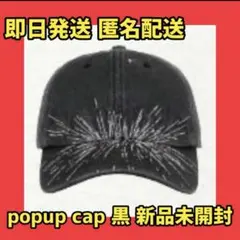 新品 BTS ARIRANG Ball Cap Black アリラン JIN - メルカリ
