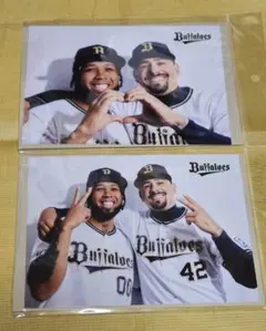 エスピノーザ マチャド フォトセット