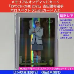 Item thumbnail for item 084a015b-58a3-4cb5-b596-9d426ec886b0