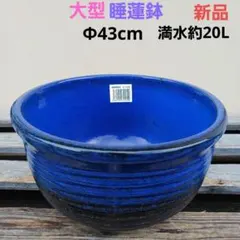 新品 特大 ∅51 陶器 睡蓮鉢 メダカ鉢 難有 ヒスイグリーン 青＆緑 LLB