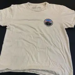 patagonia オーガニックコットン Tシャツ M