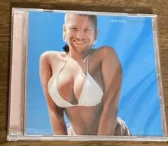 aphex twin 洋楽