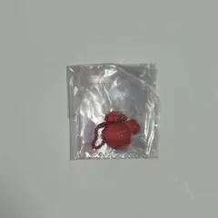TWICE LOVELYS グミ&チャームチェヨン