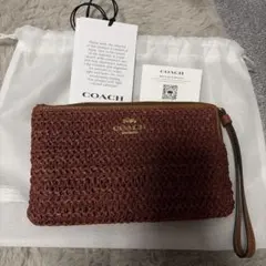 coachポーチのサムネイル