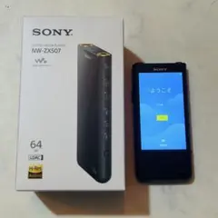 SONY WALKMAN NW-ZX100 本体＋microSDカード256GB SONY WALKMAN NW-ZX100 本体＋microSDカード256GB - メルカリ