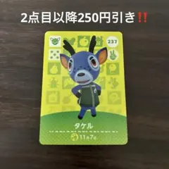 【2点目以降250円引き‼️】amiiboカード 237 タケル