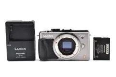 2026年最新】lumix gx1の人気アイテム - メルカリ