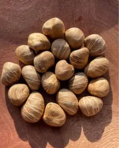 樹齢600年 榧の実（かやの実） 2025年産 1kg アク抜き済み - メルカリ
