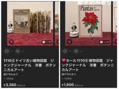 1110⑤ドイツ古い植物図鑑　ジャンクジャーナル　洋書　ボタンニカルアート