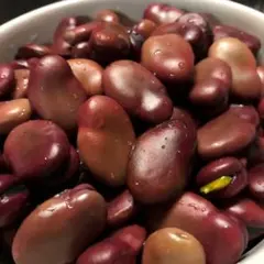 2025年最新】そら豆 初姫 種の人気アイテム - メルカリ