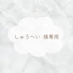 しゅうへい 様 専用ページ .. εïз