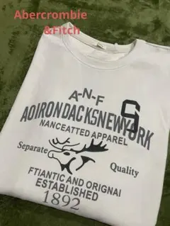 Abercrombie & Fitch 長袖Tシャツ L 白 MUSCLE 厚手