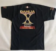 Item thumbnail for item 234078f4-5de2-48cc-a1fb-713043d81540