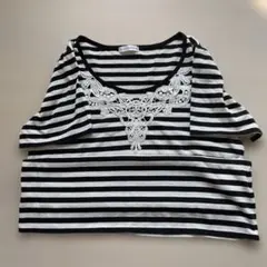 a.v.v standard 半袖ストライプTシャツ