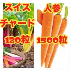 Bình Phan Hữu様 リクエスト 9点 まとめ商品