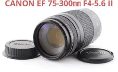 2026年最新】canon 75-300 4-5.6 IIの人気アイテム - メルカリ