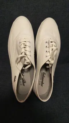 Item thumbnail for item 93c7ce08-57fd-4944-923f-645a250625cc