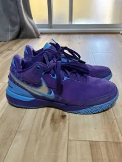 NIKE ズームレブロンネクストGEN DR8788-500 29cm - メルカリ