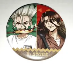 Dr.STONE ドクスト 石神千空 ユニーク 衣装チェンジ 缶バッジ Dr.STONE ユニーク缶バッジ 衣装チェンジver.① 石神千空 - メルカリ