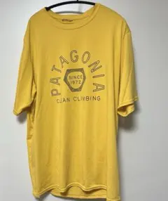 patagonia Tシャツ