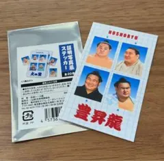 2 豊昇龍　大相撲　証明写真　ステッカー