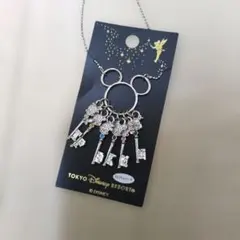 ディズニー 25周年 ドリームキー ネックレス