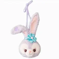 【美品】TDS限定/ステラルー/パスケース/コインケース