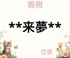 専用