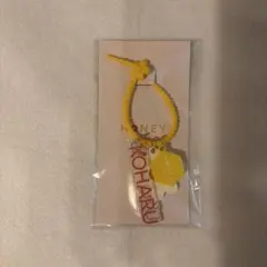 HONEYCam チャーム CHIKA HANA - メルカリ
