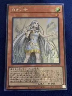 遊戯王OCG白き乙女 シークレット ロゴあり 2025 LIMITED PACK