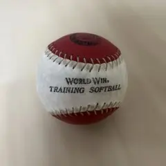 WORLD WIN トレーニングソフトボール