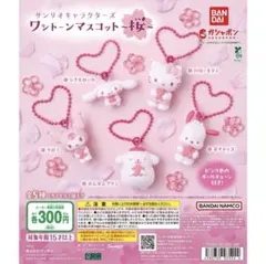 サンリオキャラクターズ　クロミセット