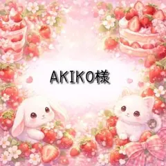 AKIKO様 リクエスト 3点 まとめ商品