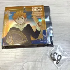 ハイキュー　BIGオーロラブロッキー　日向　ジャンフェス2026 非売品