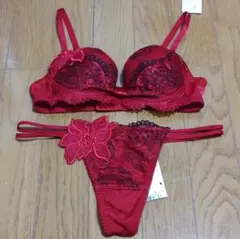 サルート 01 ブラ ソング セット C65