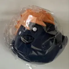 ヒナガラス