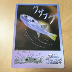 2026年最新】鳥羽水族館カードの人気アイテム - メルカリ