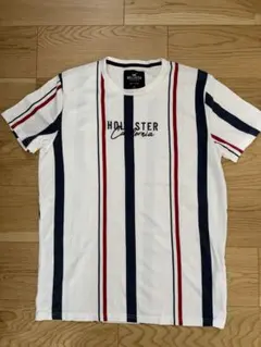 Hollister ストライプ Tシャツ M