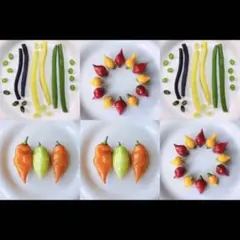 yasuken様 リクエスト 6点 まとめ商品